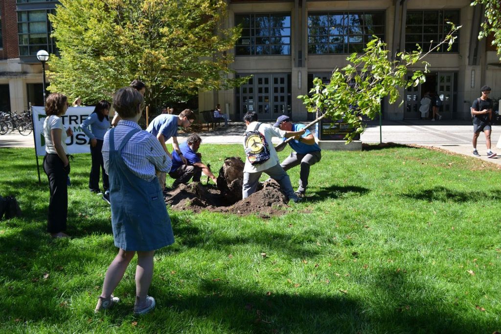 Several people, including Office of Campus Sustainability and Innovation and Facilities & Operations staff members, plant a tree on campus at Earthfest last year.