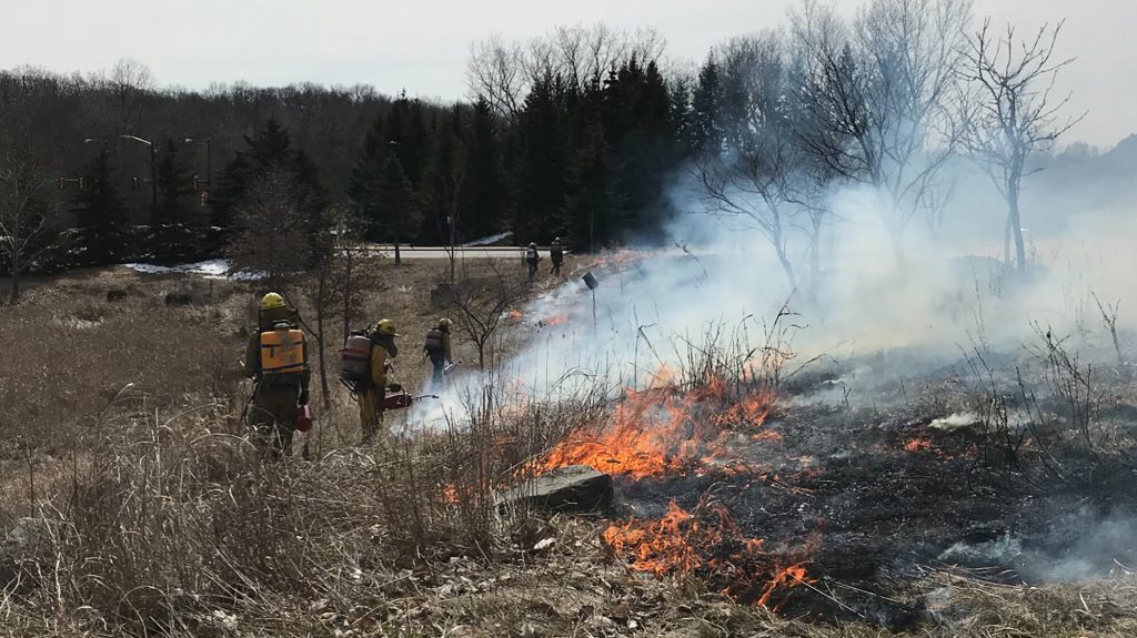 PlantWise manages low flames and smoke across a stormwater basin during a prescribed burn near the North Campus Research Complex.